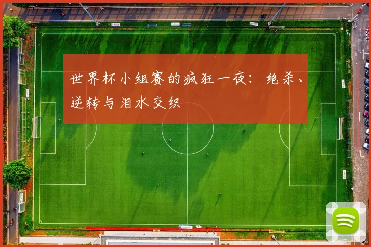 世界杯小组赛的疯狂一夜：绝杀、逆转与泪水交织