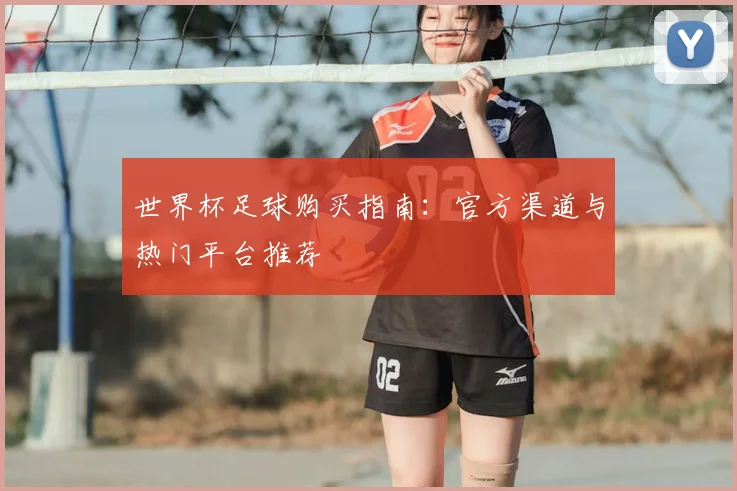 世界杯足球购买指南：官方渠道与热门平台推荐