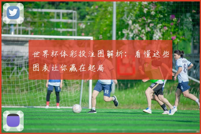 世界杯体彩投注图解析：看懂这些图表让你赢在起局