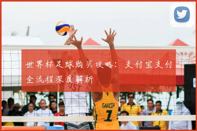 世界杯足球购买攻略:支付宝支付全流程深度解析