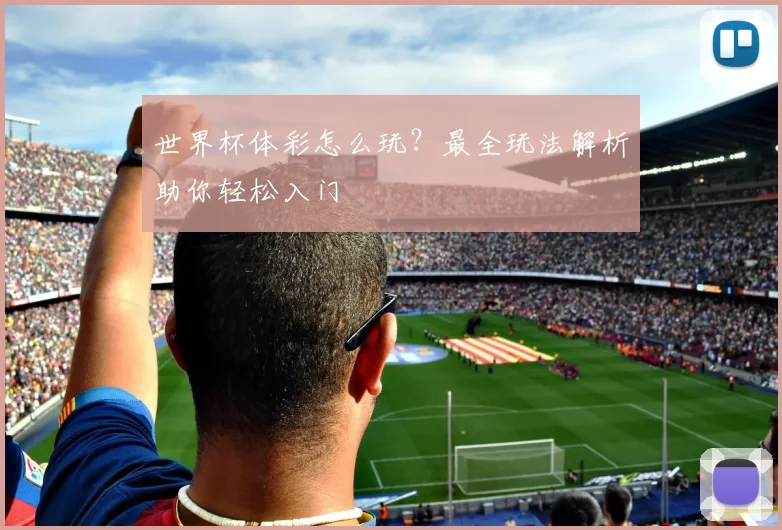 世界杯体彩怎么玩?最全玩法解析助你轻松入门