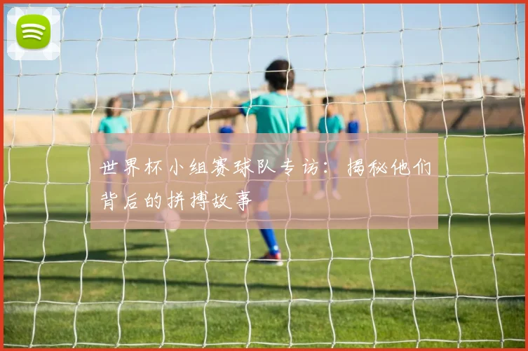 世界杯小组赛球队专访：揭秘他们背后的拼搏故事