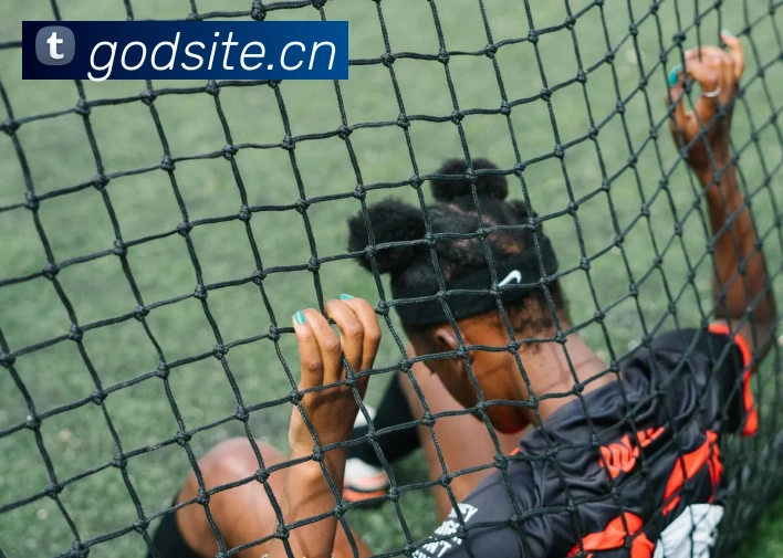 奖项证书